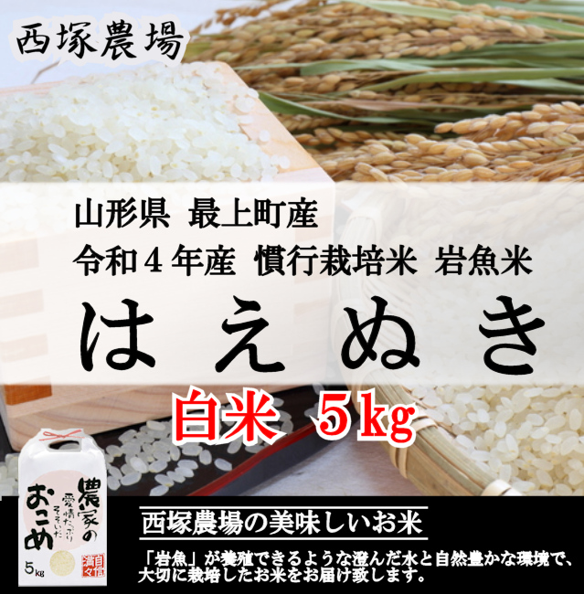 令和４年産！ 山形県産【はえぬき】白米４０ｋｇ中粒米の+spbgp44.ru